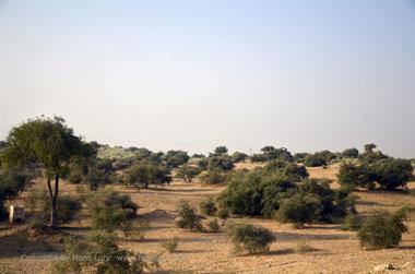01 PKW-Reise_Bikaner-Jaisalmer_DSC2872_b_H600